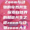 Zoom与动物的奇妙共生，探索自然界的和谐共生之道zoom与动物zoom大全  第1张