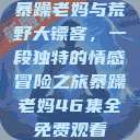 暴躁老妈与荒野大镖客，一段独特的情感冒险之旅暴躁老妈46集全免费观看  第1张