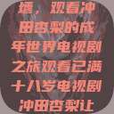 冲破青春之墙，观看冲田杏梨的成年世界电视剧之旅观看已满十八岁电视剧冲田杏梨让五  第1张