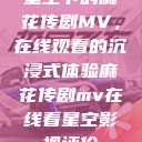 星空下的麻花传剧MV，在线观看的沉浸式体验麻花传剧mv在线看星空影视评价  第1张