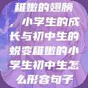 稚嫩的翅膀，小学生的成长与初中生的蜕变稚嫩的小学生初中生怎么形容句子  第1张
