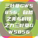 三叶草GW5856，自然之美与科技之力三叶草GW5856  第1张