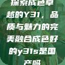 探索成色卓越的Y31，品质与魅力的完美融合成色好的y31s是国产吗  第1张