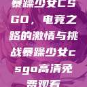 暴躁少女CSGO，电竞之路的激情与挑战暴躁少女csgo高清免费观看  第1张