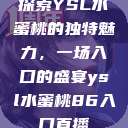 探索YSL水蜜桃的独特魅力，一场入口的盛宴ysl水蜜桃86入口直播  第1张