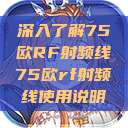 深入了解75欧RF射频线75欧rf射频线使用说明 第1张 深入了解75欧RF射频线75欧rf射频线使用说明 第1张