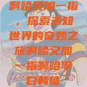 啊哈又加一指，探索未知世界的奇妙之旅啊哈又加一指啊哈李白韩信  第1张