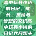 高中玩具小诗的日记，成长、友情与梦想的交织高中玩具小诗的日记六月观主  第1张