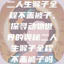 二人生猴子全程不盖被子，探寻动物世界的奥秘二人生猴子全程不盖被子吗  第1张