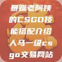 暴躁老阿姨的CSGO技能搭配介绍人马一级csgo交易网站  第1张