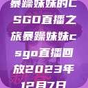 暴躁妹妹的CSGO直播之旅暴躁妹妹csgo直播回放2023年12月7日  第1张
