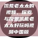 饥荒老太太的视频，探索与反思饥荒老太太好玩吗视频中国版  第1张