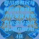 四川少数民族舞蹈的独特魅力与文化传承四川少扫搡BBw搡BBBB18  第1张