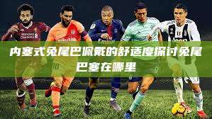 内塞式兔尾巴佩戴的舒适度探讨兔尾巴塞在哪里  第1张