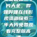 免费观看三年片大全，哔哩哔哩在线影视资源探索三年大片免费观看完整版高清  第1张