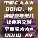 中国老太太WBBHD，传统智慧与现代社会的交融中国老太太wBBHD AV  第1张
