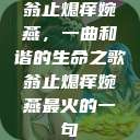 翁止熄痒婉燕，一曲和谐的生命之歌翁止熄痒婉燕最火的一句  第1张