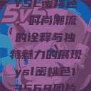 YSL蜜桃色，时尚潮流的诠释与独特魅力的展现ysl蜜桃色13569图片  第1张