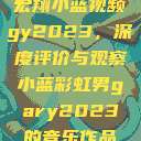 宏翔小蓝视频gy2023，深度评价与观察小蓝彩虹男gary2023的音乐作品  第1张