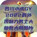 四川小虎GY2022的外观魅力男士大包包大雕图片  第1张