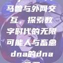 Python人马兽与外网交互，探索数字时代的无限可能人与畜禽dna的dna免费  第1张