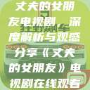 丈夫的女朋友电视剧，深度解析与观感分享《丈夫的女朋友》电视剧在线观看  第1张