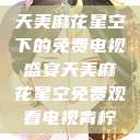 天美麻花星空下的免费电视盛宴天美麻花星空免费观看电视青柠  第1张