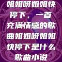 姐姐呀姐姐快停下，一首充满情感的歌曲姐姐呀姐姐快停下是什么歌曲小说  第1张