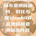 SNH48欧洲码与亚洲码图片，对比与探讨snh48欧洲码和亚洲码图片对比  第1张