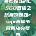 暴躁妹妹的CSGO直播之旅暴躁妹妹csgo直播节目回放完整版  第1张