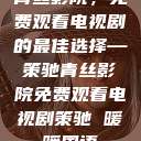 青丝影院，免费观看电视剧的最佳选择—策驰青丝影院免费观看电视剧策驰 暖暖国语  第1张