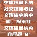 中国视角下的社交媒体与社交媒体中的中国，探索社交媒体色情内容问题с9'  第1张