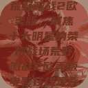 荒野激战2欧美版，聚焦十大明星的荣耀战场荒野激战2欧美版电影在线观看  第1张