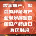 香蕉国产，繁荣的种植与产业前景展望香蕉国产和进口 有区别吗  第1张