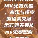 孟若羽天美传MV免费观看，音乐与视觉的绝美交融孟若羽天美传mv免费观看在线观看  第1张