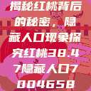 揭秘红桃背后的秘密，隐藏人口现象探究红桃38.47隐藏人口7004658  第1张