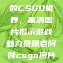 暴躁老阿姨的CSGO世界，高清图片揭示游戏魅力暴躁老阿姨csgo图片高清在线观看  第1张