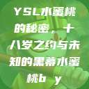 YSL水蜜桃的秘密，十八岁之约与未知的黑幕水蜜桃b y  第1张