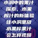 小洞中的果汁探索，水果榨汁的新体验往小洞里放水果榨果汁会怎样视频  第1张