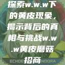 探索w.w.w下的黄皮现象，揭示背后的真相与挑战w.w.w黄皮磨菇招商  第1张