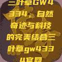 三叶草GW4334，自然奇迹与科技的完美结合三叶草gw4334官网  第1张