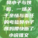 臭小子与姨妈，一场关于亲情与责任的考验臭小子姨妈腰快断了小说推文  第1张