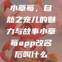 小草莓，自然之宠儿的魅力与故事小草莓app改名后叫什么  第1张