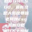 暴躁老阿姨教你玩转CSGO，最新攻略大揭秘暴躁老阿姨csgo最新攻略 适合五十岁阿姨  第1张