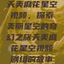 天美麻花星空视频，探索美丽星空的奇幻之旅天美麻花星空视频剧组的故事  第1张