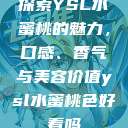 探索YSL水蜜桃的魅力，口感、香气与美容价值ysl水蜜桃色好看吗  第1张