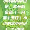小诗的高中日记，成长的足迹（一月至十五日）小诗的高中日记1一15小说  第1张