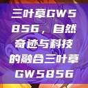 三叶草GW5856，自然奇迹与科技的融合三叶草GW5856  第1张