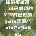 探索与鉴赏，成色卓越的Y31成色好的y31s是国产a1a2a3a4a5  第1张