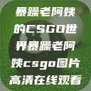 暴躁老阿姨的CSGO世界暴躁老阿姨csgo图片高清在线观看  第1张